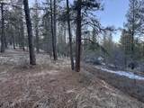  Bobcat Cir - Photo 1