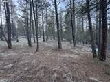  Bobcat Cir - Photo 12