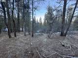  Bobcat Cir - Photo 14