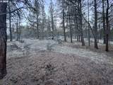  Bobcat Cir - Photo 18