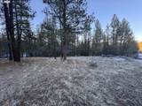  Bobcat Cir - Photo 2