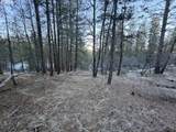  Bobcat Cir - Photo 20