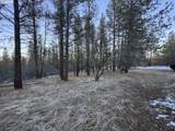  Bobcat Cir - Photo 22