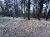  Bobcat Cir - Photo 27