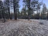  Bobcat Cir - Photo 3