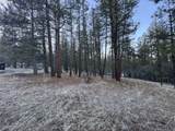  Bobcat Cir - Photo 6