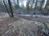  Bobcat Cir - Photo 9