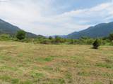295 River Ranch Rd - Photo 11