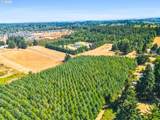  Everett Dr - Photo 11