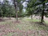 Everett Dr - Photo 21