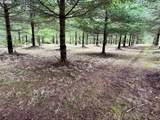  Everett Dr - Photo 29