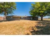 35600 Truelove Dr - Photo 36