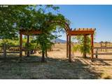 35600 Truelove Dr - Photo 39