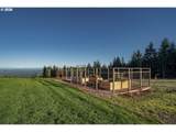 24856 Bald Peak Rd - Photo 46
