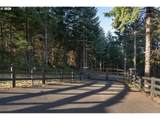 24856 Bald Peak Rd - Photo 47
