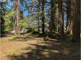 49241 Mountain View Rd - Photo 11