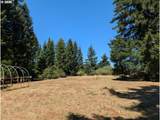49241 Mountain View Rd - Photo 4