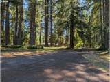 49241 Mountain View Rd - Photo 47