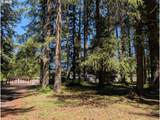 49241 Mountain View Rd - Photo 5
