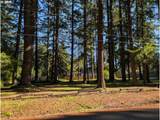 49241 Mountain View Rd - Photo 9