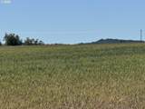  Wheatland Dr - Photo 12