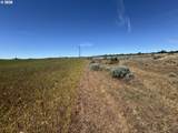  Wheatland Dr - Photo 16