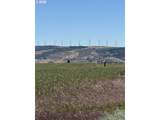  Wheatland Dr - Photo 27