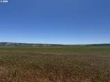  Wheatland Dr - Photo 9