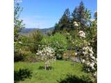99608 Bank Chetco Rd - Photo 31