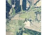  Upper Camp Creek Rd - Photo 16