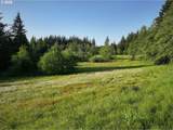 1781 Mabee Mines Rd - Photo 2