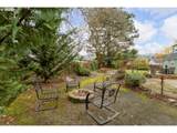 523 Broccoli St - Photo 39