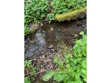 0 Green Mountain Rd - Photo 3