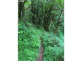 0 Green Mountain Rd - Photo 4
