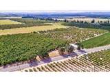 13651 River Rd - Photo 34