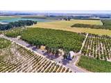 13651 River Rd - Photo 35