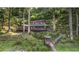 1547 Tenmile Lake - Photo 1