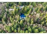 39100 Tumala Mountain Rd - Photo 46