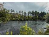 49838 Mckenzie Hwy - Photo 4