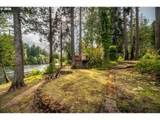 49838 Mckenzie Hwy - Photo 8