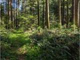 62955 Mountain Country Ln - Photo 10