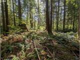 62955 Mountain Country Ln - Photo 11