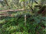 62955 Mountain Country Ln - Photo 12