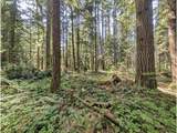 62955 Mountain Country Ln - Photo 2