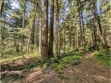62955 Mountain Country Ln - Photo 3