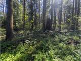 62955 Mountain Country Ln - Photo 4