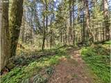 62955 Mountain Country Ln - Photo 5