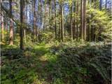 62955 Mountain Country Ln - Photo 8