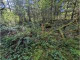 62955 Mountain Country Ln - Photo 9