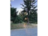 78412 Snauer Ln - Photo 4